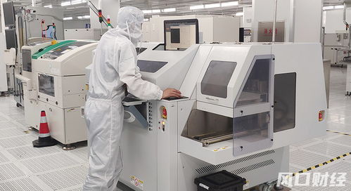 青股速遞 青島兩家 爾系 企業(yè)共闖ipo,細分賽道龍頭越來越受資金認可